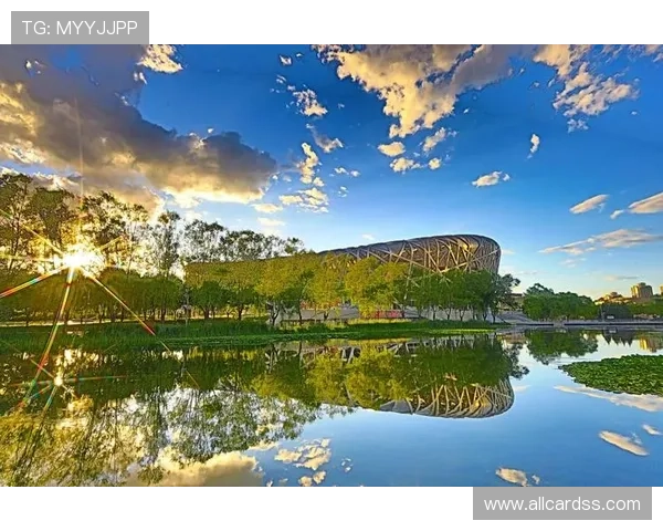 od体育官方平台入口多设备同步登录，享受无缝切换的体育娱乐体验
