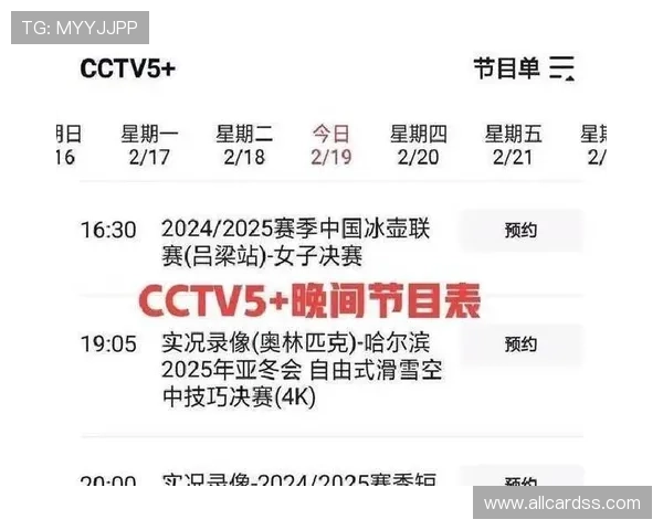 BTI体育网页版赛事直播体验优化指南,提升观看流畅度与互动体验的实用建议