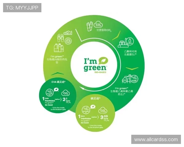 永辉国际：推动绿色可持续发展战略，打造环保型国际零售企业