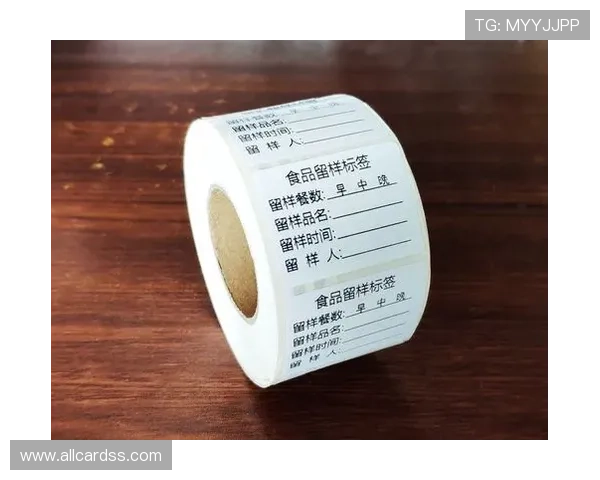 PP电子官网提供的多样化支付方式及充值流程详细说明