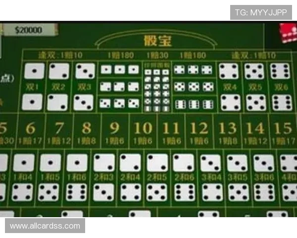 全面解析骰宝赔率计算方法及实用技巧帮助玩家合理规划投注方案